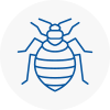 Bed Bug Extermination In Ystradgynlais