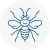 Ystradgynlais Hornet Nest Removals