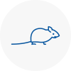Mice Exterminators In Ystradgynlais