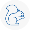Ystradgynlais Rodent Removals
